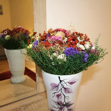 Accommodatie bij particulieren Beskidek