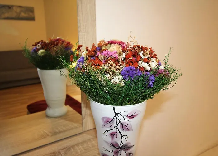 منزل للإقامة Beskidek